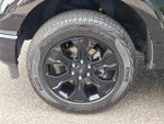 2023 F-150 Thumbnail 10