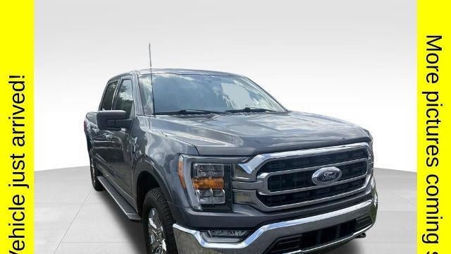 Preowned 2023 Ford F-150 XL for Sale