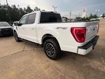 2023 F-150 Thumbnail 4