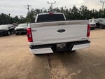 2023 F-150 Thumbnail 5