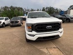 2023 F-150 Thumbnail 9