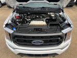 2023 F-150 Thumbnail 18