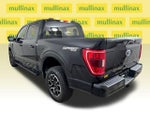 2023 F-150 Thumbnail 6