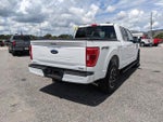 2023 F-150 Thumbnail 4