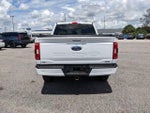 2023 F-150 Thumbnail 5