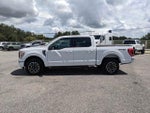2023 F-150 Thumbnail 7