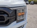 2023 F-150 Thumbnail 9