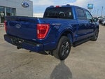 2023 F-150 Thumbnail 4