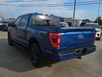 2023 F-150 Thumbnail 6
