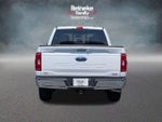 2023 F-150 Thumbnail 6