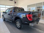 2023 F-150 Thumbnail 4