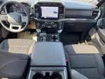 2023 F-150 Thumbnail 11