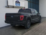 2023 F-150 Thumbnail 3