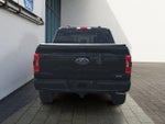 2023 F-150 Thumbnail 4