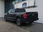 2023 F-150 Thumbnail 5