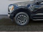 2023 F-150 Thumbnail 26
