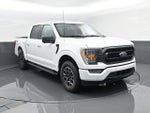 2023 F-150 Thumbnail 3