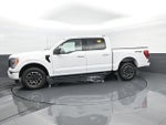 2023 F-150 Thumbnail 5