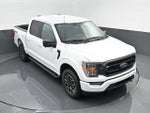 2023 F-150 Thumbnail 19