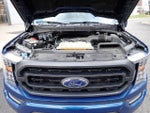 2023 F-150 Thumbnail 13