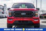 2023 F-150 Thumbnail 2