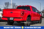 2023 F-150 Thumbnail 4