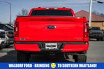 2023 F-150 Thumbnail 5