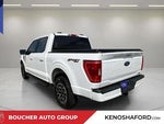 2023 F-150 Thumbnail 7