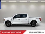 2023 F-150 Thumbnail 8