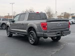 2023 F-150 Thumbnail 6