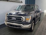 2023 F-150 Thumbnail 3
