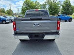2023 F-150 Thumbnail 3