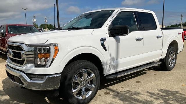 Preowned 2023 Ford F-150 XL for Sale