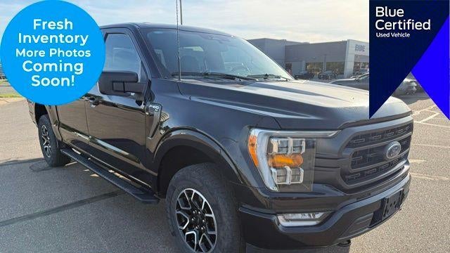 Preowned 2023 Ford F-150 XLT for Sale