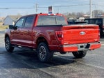2023 F-150 Thumbnail 14