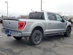2023 F-150 Thumbnail 4