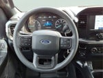 2023 F-150 Thumbnail 10