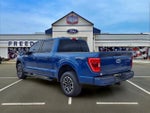 2023 F-150 Thumbnail 5