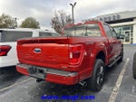 2023 F-150 Thumbnail 3