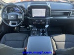 2023 F-150 Thumbnail 5