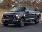 2023 F-150 Thumbnail 3