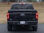 2023 F-150 Thumbnail 5