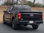 2023 F-150 Thumbnail 4