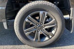 2023 F-150 Thumbnail 4