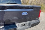 2023 F-150 Thumbnail 7
