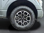 2023 F-150 Thumbnail 12