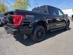 2023 F-150 Thumbnail 4