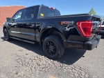 2023 F-150 Thumbnail 7