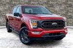 2023 F-150 Thumbnail 1