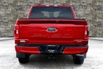 2023 F-150 Thumbnail 5